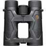 Бинокль LEUPOLD BX-3 MOJAVE 10X50 BLACK 111770